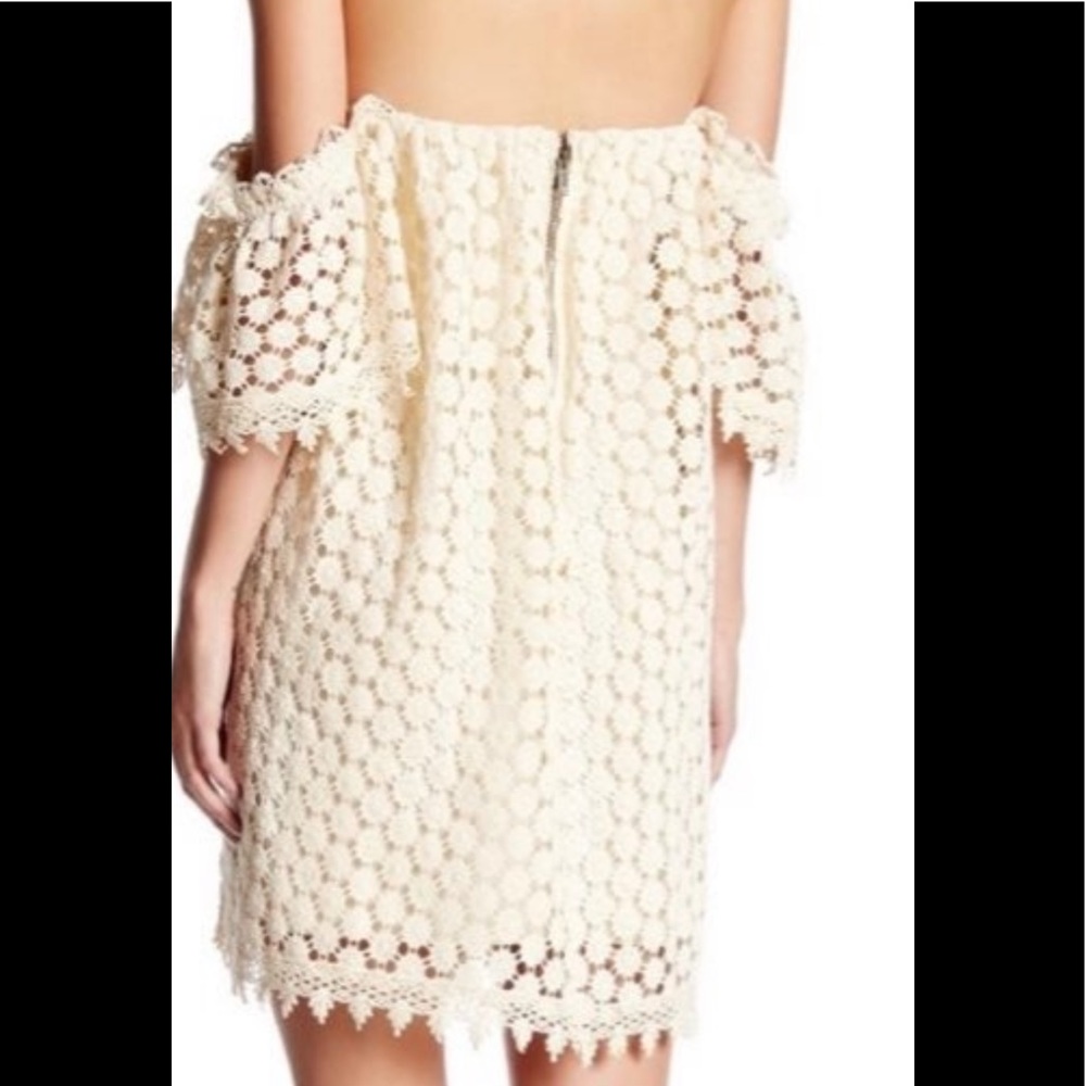 Telarosa Embroidered Mini Dress - Picture 3 of 10